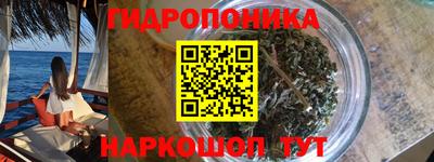 прущие грибы Камышлов
