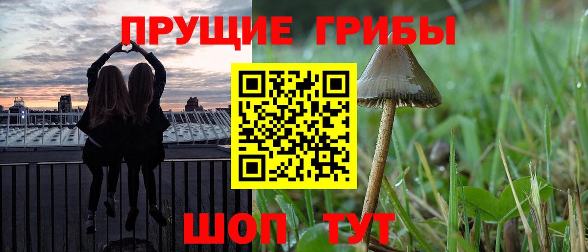 Псилоцибиновые грибы Psilocybine cubensis  Вход с VPN  Крымск 